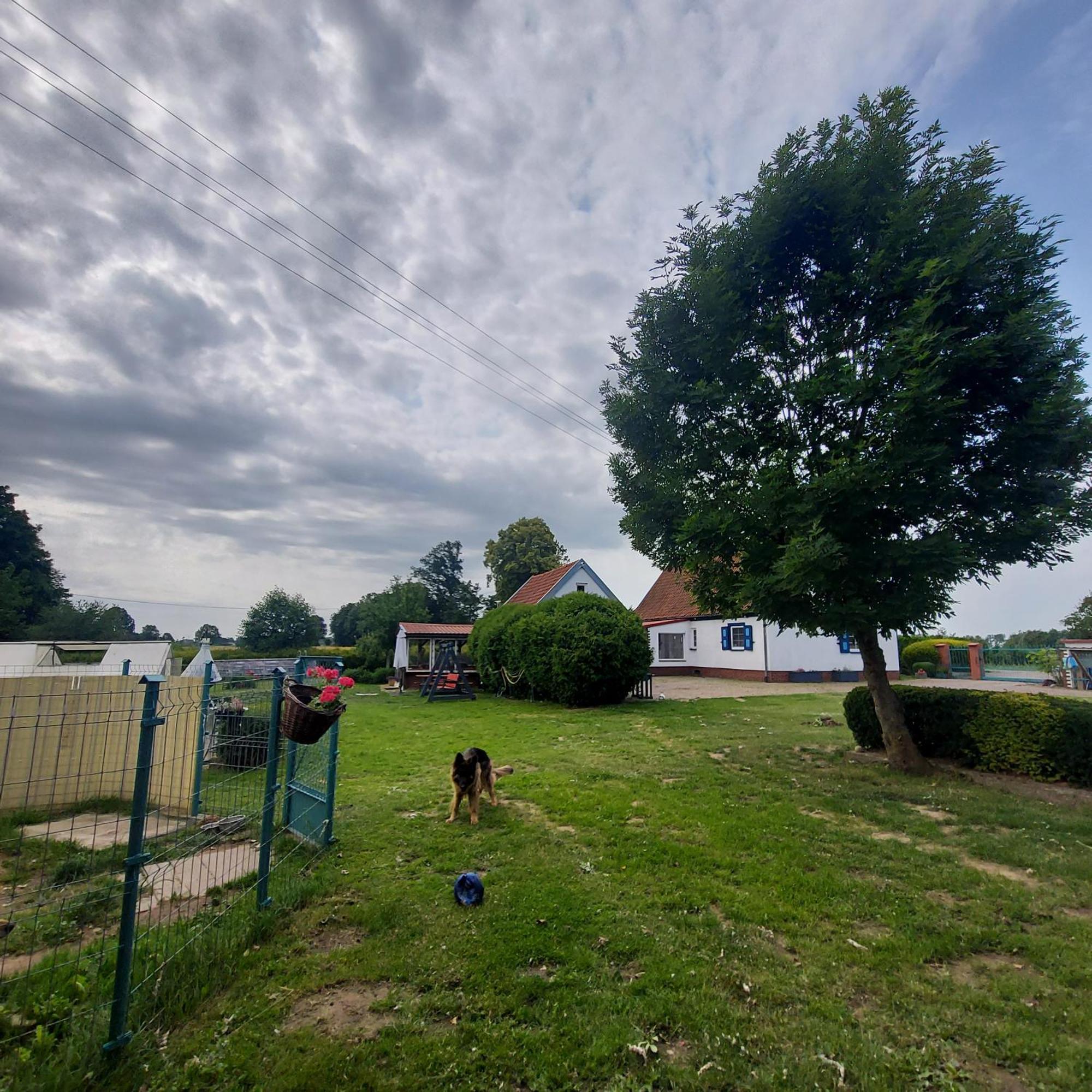 Siedlisko Tafle Villa Chorazowka Dış mekan fotoğraf